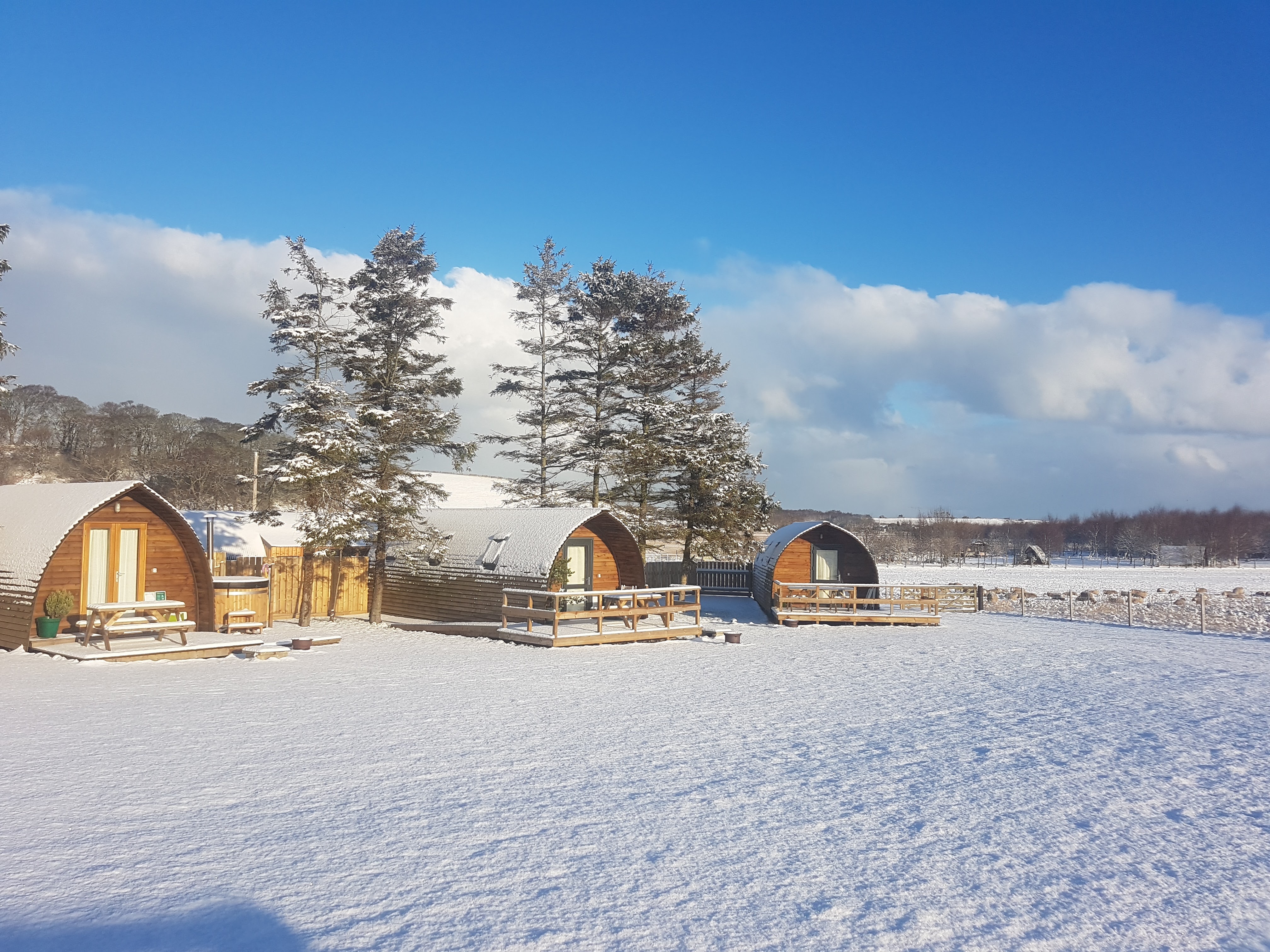 Winter in Moray Speyside